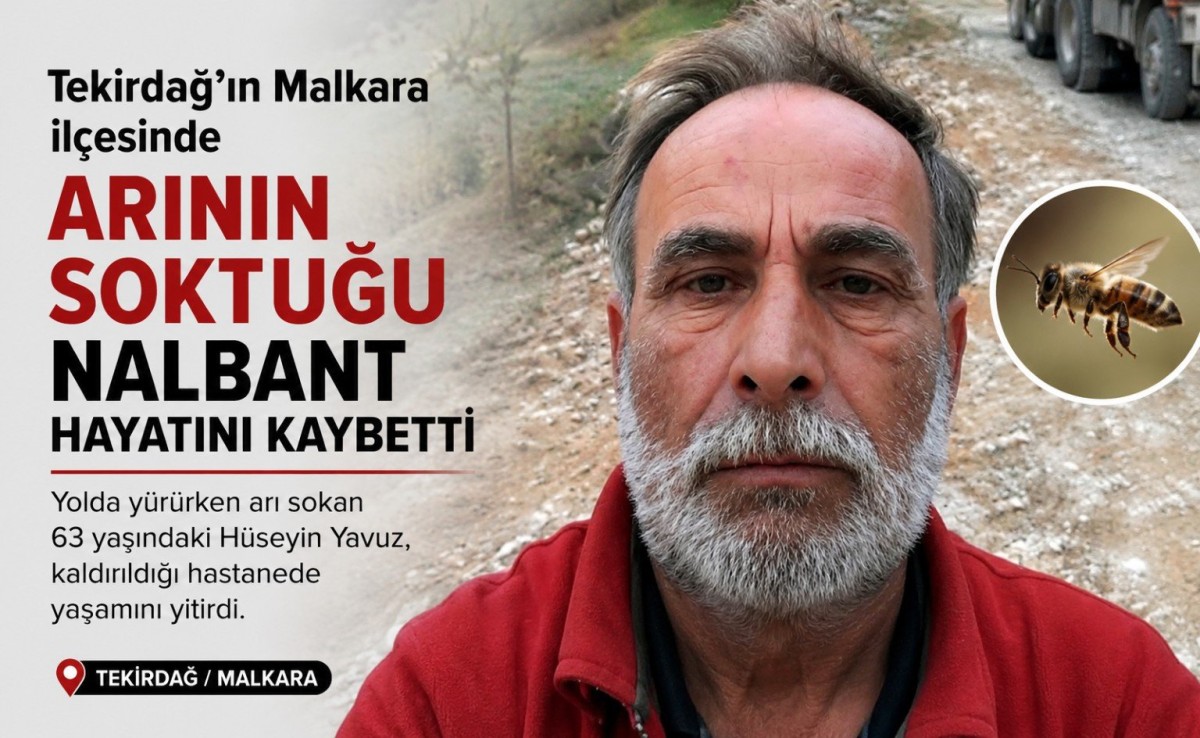 Malkara’da arı sokması can aldı
